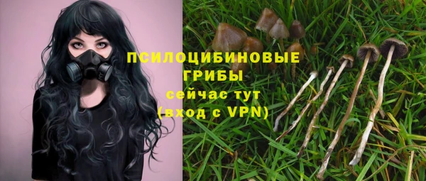 стафф Абдулино