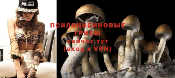 PSILOCYBIN Абинск