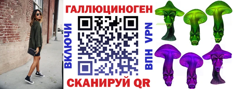 закладка  Невельск  Галлюциногенные грибы MAGIC MUSHROOMS 